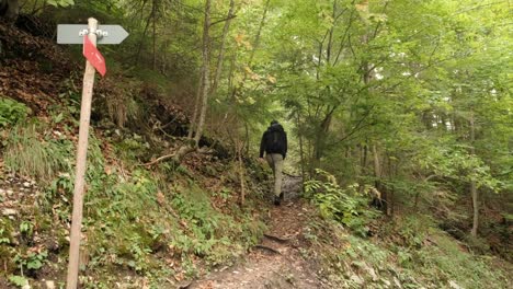 Un-Hombre-Caminando-Por-Un-Bosque-Muy-Verde-En-Un-Día-Nublado-En-Eslovenia-Ubicado-Cerca-Del-Pueblo-De-Gozd-Martuljek