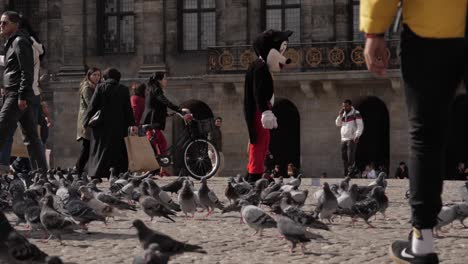 Mickey-Mouse-street-performer-wilting-down-among-tourists-and-pigeons-at-Dam-Square,-Amsterdam,-Netherlands---180-fps-slow-motion