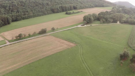 Aerial-shot-of-fields,-a-road-and-a-forest-in-the-background