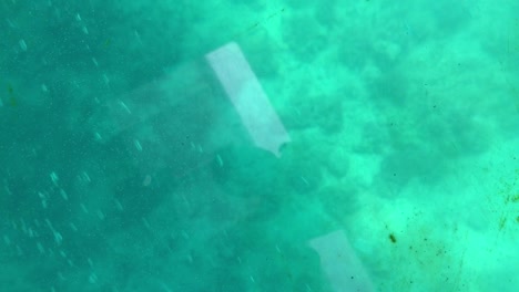 Junge-Sitzt-Auf-Einem-Glasbodenboot-Und-Blickt-Auf-Den-Grund-Des-Meeresbodens