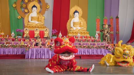 Lion-dance-buddha-birthday-festival,brisbane-2018-Lion-Dance-Show-In-Chinese-New-Year-Festival