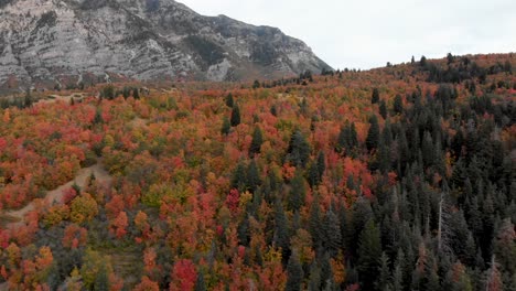 Luftaufnahme-über-Den-Herbstfarben-In-Der-Nähe-Des-Squaw-Peak-In-Utah