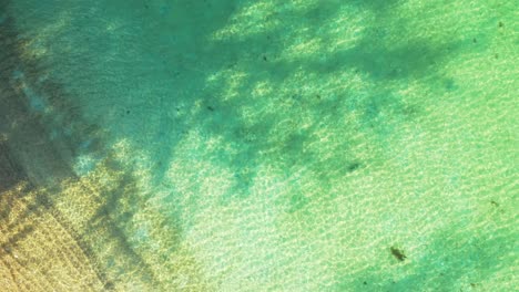 Farbenfrohe,-Abstrakte-Meeresstruktur-Mit-Schatten-Von-Palmen-über-Lebendigem,-Klarem-Wasser-Des-Flachen-Lagunen-Sandstrandes-Auf-Den-Seychellen
