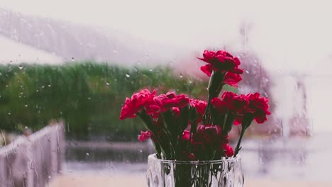 Vase-with-red-flowers-and-rain-blurred-outside-the-window-on-a-rainy-day