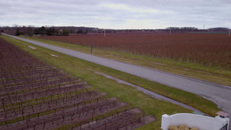 Aerial-over-a-wine-country-vineyard-in-late-winter