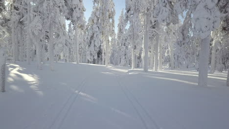 Moving-along-an-empty-cross-country-track-in-snowy-forest-in-Lapland-Finland