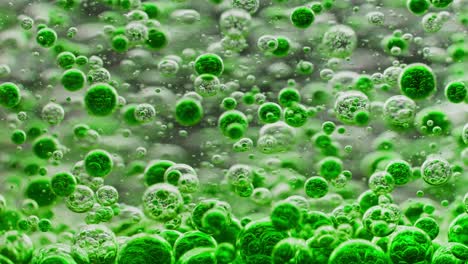many-small-green-bubbles-floating-in-water,-slowly-sinking