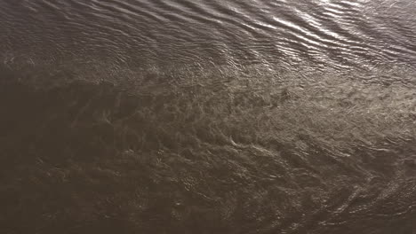 Barge-wake-on-hudson-river-ripples-on-the-muddy-water-surface