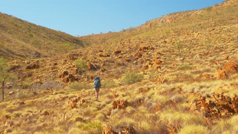 Hiker-walks-through-landscape-of-spinifex-and-rocks,-Central-Australia