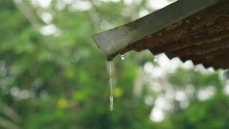 Rain-dripping-off-of-rusty-corrugated-metal-roofing