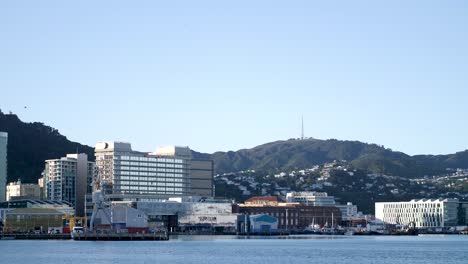Landscape-of-Wellington-Harbour-in-New-Zealand