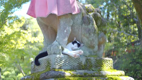 Süße-Katze-Streckt-Sich-Und-Schläft-Unter-Einem-Steinernen-Löwen-In-Kyoto,-Japan,-Sanfte-Beleuchtung,-Zeitlupe-4k