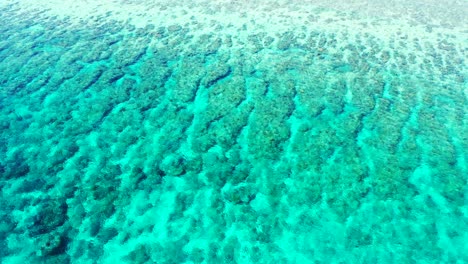 Beautiful-seabed-with-coral-reefs-growing-on-white-sand,-seen-under-clear-crystal-water-of-shallow-turquoise-lagoon,-Australia