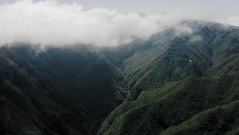 Aerial-video-footage-of-tropical-rainforest-on-Madeira-with-moving-clouds-and-lush-vegetation,-push-in-slow-movement