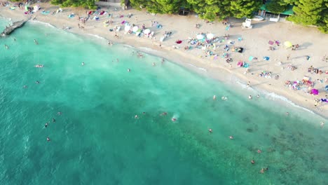 Aerial-top-down-view-of-people-swimming-in-sea,-relaxing-at-the-beach