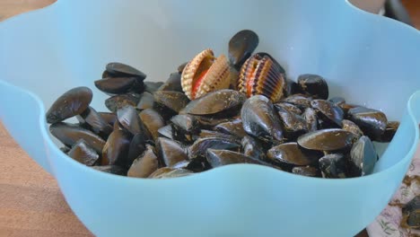 Female-hands-cleaning-seashells-gathered-fresh-from-the-sea