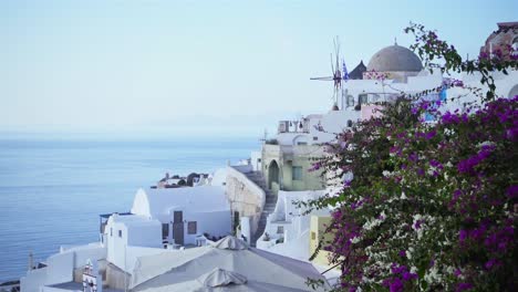 Bunte-Pflanzen-Mit-Den-Wunderschönen-Weißen-Gebäuden-Von-Santorini-Im-Hintergrund