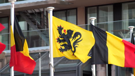 Flemish-en-Belgian-Flags-on-Flagpole-Fluttering-in-the-Wind