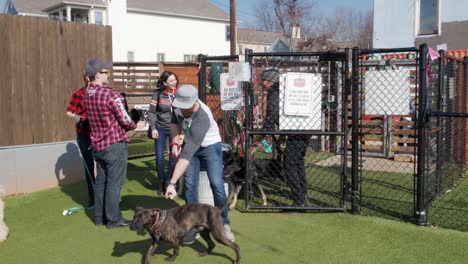 People-walking-their-dogs-open-a-gate,-enter-an-upscale-urban-dog-park-and-take-their-pets-off-of-their-leashes-in-Atlanta,-GA-on-a-warm-and-sunny-summer-day