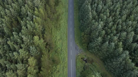 Draufsicht-Eines-Vorbeifahrenden-Motorradfahrers-Auf-Der-Schmalen-Asphaltstraße-Mit-Dichten-Kiefern-In-Den-Wicklow-Mountains,-Irland-–-Luftaufnahme