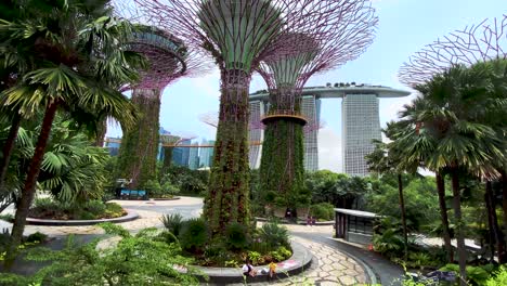 Supertree-Groves-In-Gardens-By-The-Bay-With-The-Luxury-Hotel-Of-Marina-Bay-Sands-At-Daytime-In-Singapore