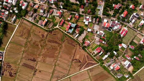 Rural-farmers-houses-and-rice-paddy-fields-in-Da-Nang-Vietnam,-overhead-aerial