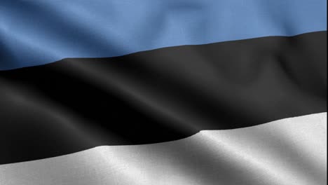 Primer-Plano-Ondeando-Lazo-4k-Bandera-Nacional-De-Estonia