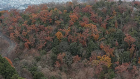 Vibrant-Autumn-mountains-of-Nara,-Aerial-flyover-revealing-large-Japanese-City
