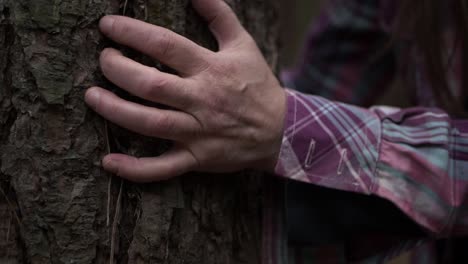 Woman-with-hands-around-a-tree-in-forest-close-up-shot