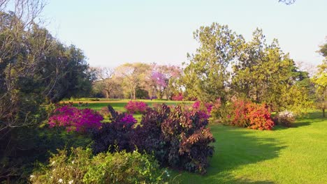 Jardín-En-Flor
