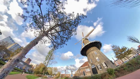 Bottom-up-fish-eye-shot-of-blue-sky,-driving-biker-and-windmill-in-background-during-sunny-day