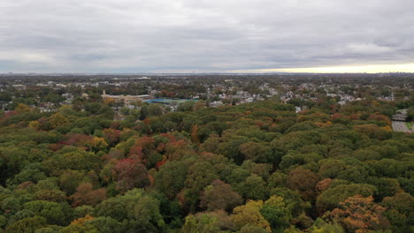 An-aerial-shot-taken-directly-over-colorful-tree-tops-at-the-start-of-the-fall-season