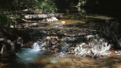 Beautiful-clear-water-stream-in-the-forest-of-Portugal--close-up
