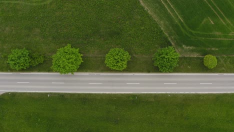 Top-view-at-a-street-in-spring-with-green-trees-and-a-fast-green-car-is-driving-the-road-from-left-to-the-right