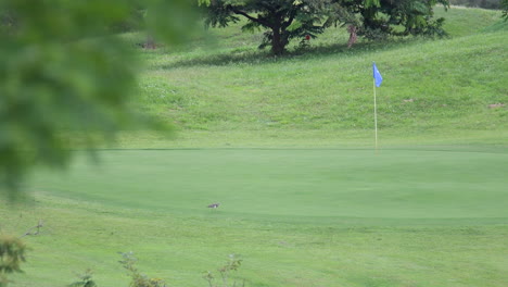 golf-course-in-Colombia-1