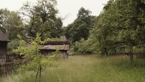 Old-buildings-of-a-historical-village-amongst-woodland-trees-and-long-spring-grass-on-an-overcast-day-in-a-scenic-landscape