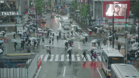 Menschen-Halten-Regenschirme-Hoch-Und-Bewegen-Sich-An-Einem-Regnerischen-Tag-Am-Shibuya-Kreuzung-In-Tokio,-Japan,-über-Die-Straße-–-Mittlere-Aufnahme