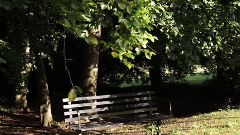 Park-bench-in-summer-with-overhanging-tree-shade-wide-shot