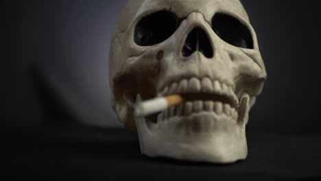 Human-skull-with-cigarette-on-dark-background-medium-panning-shot