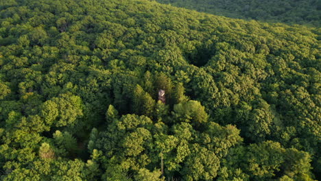 Aerial-drone-flying-forward-through-green-summer-forest-and-focusing-on-rural-mountain-fire-tower-cabin-in-the-middle-of-the-trees-at-sunset-in-Pennsylvania
