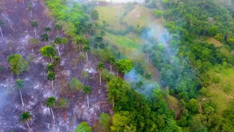 Aerial-view-around-deforestation-caused-by-raging-forest-fires,-in-the-tropical-Jungles-of-Central-Africa---orbit,-drone-shot