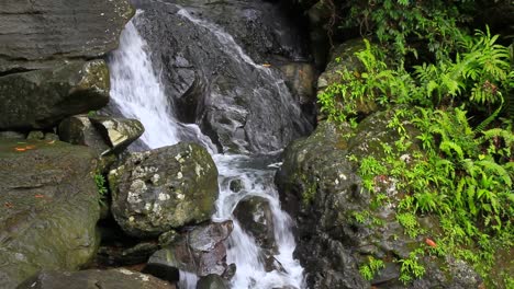 A-small-waterfall-surrounded-by-rock-and-vegetation-in-a-rainforest-climate