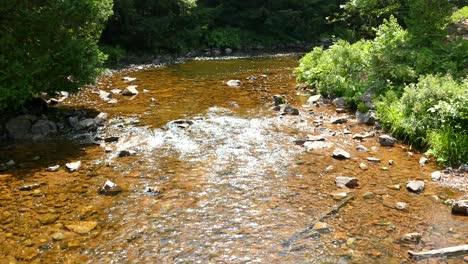 Ein-Kleiner-Fluss-Oder-Bach-In-Einem-Wald-In-Ontario,-Kanada,-Breite-Bis-Mittlere-Aufnahme-Nach-Unten-Geneigt
