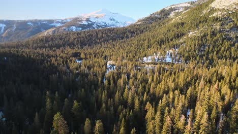 Flug-über-Einen-Kiefernwald-Mit-Einem-Schneebedeckten-Berg-In-Der-Ferne