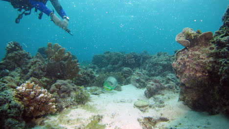 Diver-Picks-Up-Disposed-Plastic-Bottle-On-Sandy-Seabed,-underwater
