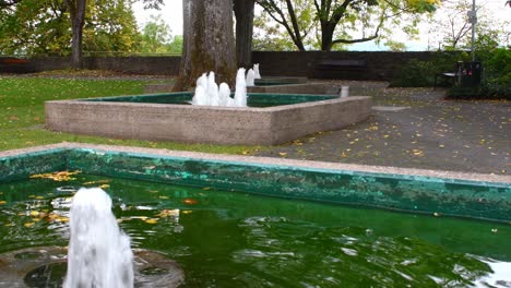 Green-water-fountain-splashing-in-natural-botanical-garden-during-daytime