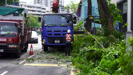 Arbeiter-Beschneiden-Bäume-Entlang-Der-Straßen-Von-Singapur