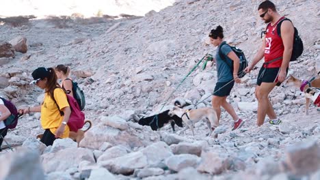 Diverse-group-dog-walking-hiking-down-rocky-mountain-slope-trail