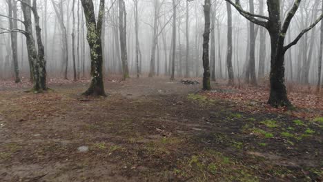 campsite-foggy-forest-fire-ring-drone-spooky-winter