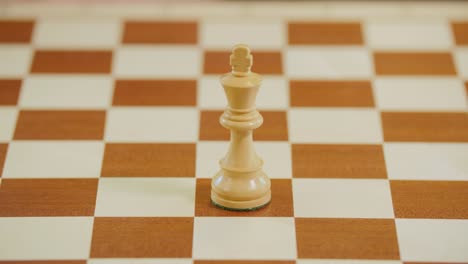 The-chess-king-is-the-most-important-piece-in-the-game-of-chess